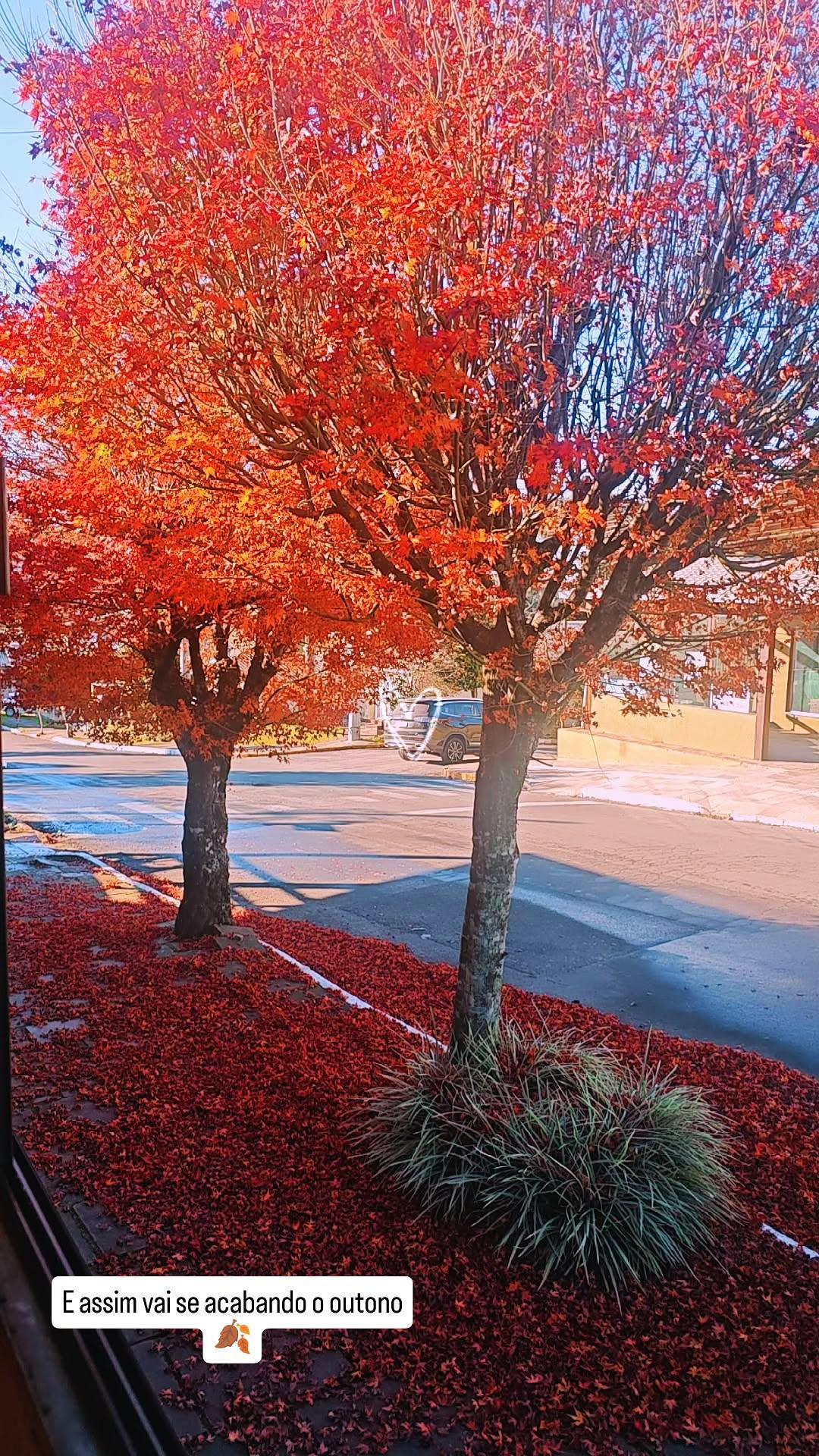 Pousada Prime Gramado - imagem 4