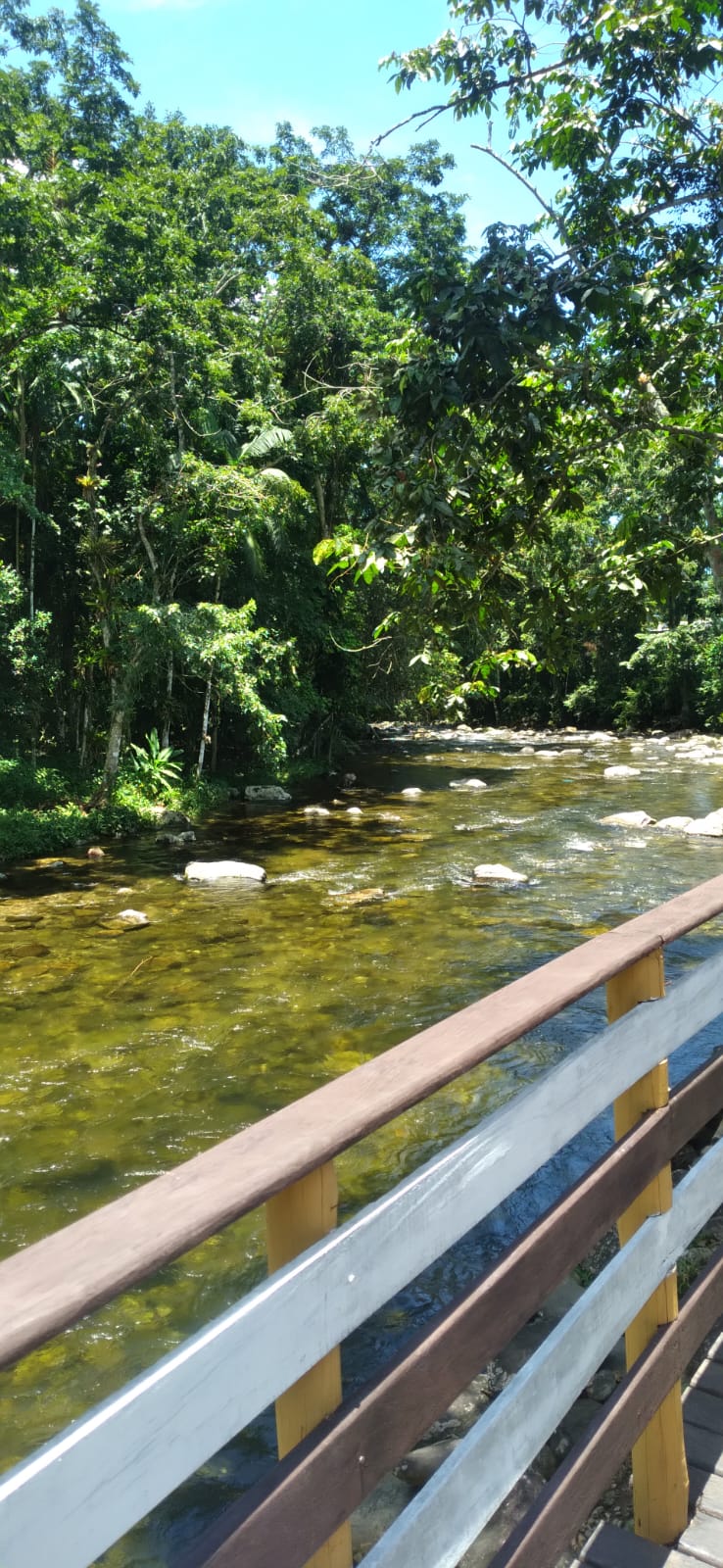 Pousada-cachoeiea-de-Paraty - imagem 3