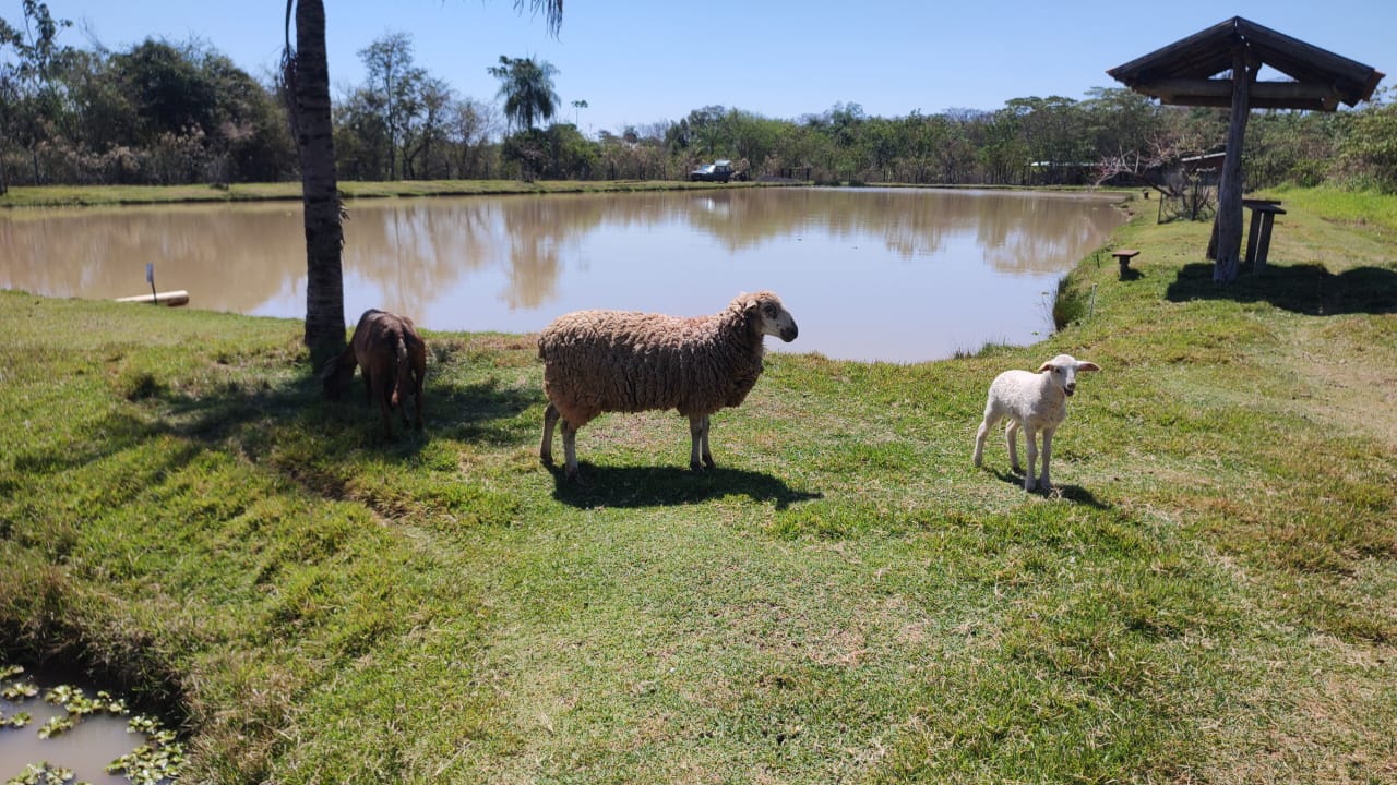 Hotel -fazenda-pousada-paraiso - imagem 12